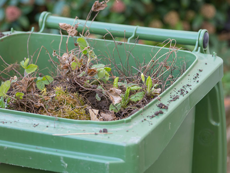 Compensation for garden waste customers North Somerset Life